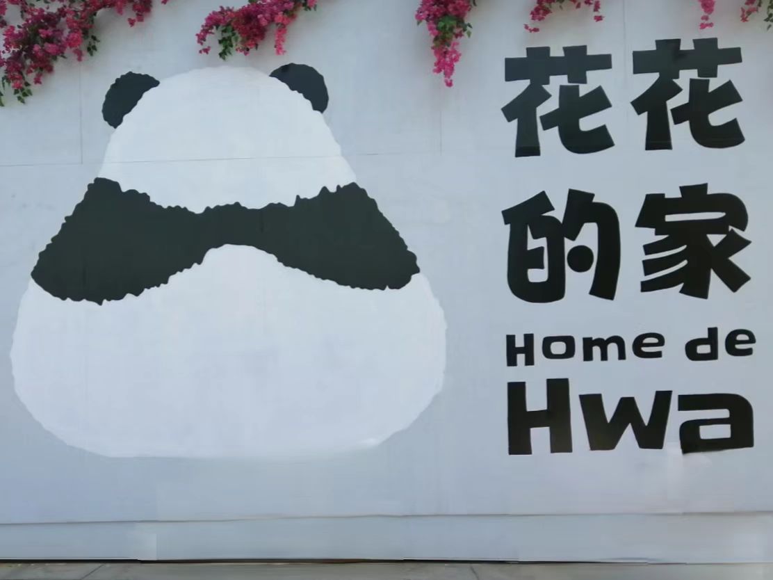 去花花的家学大熊猫科普知识快闪打卡