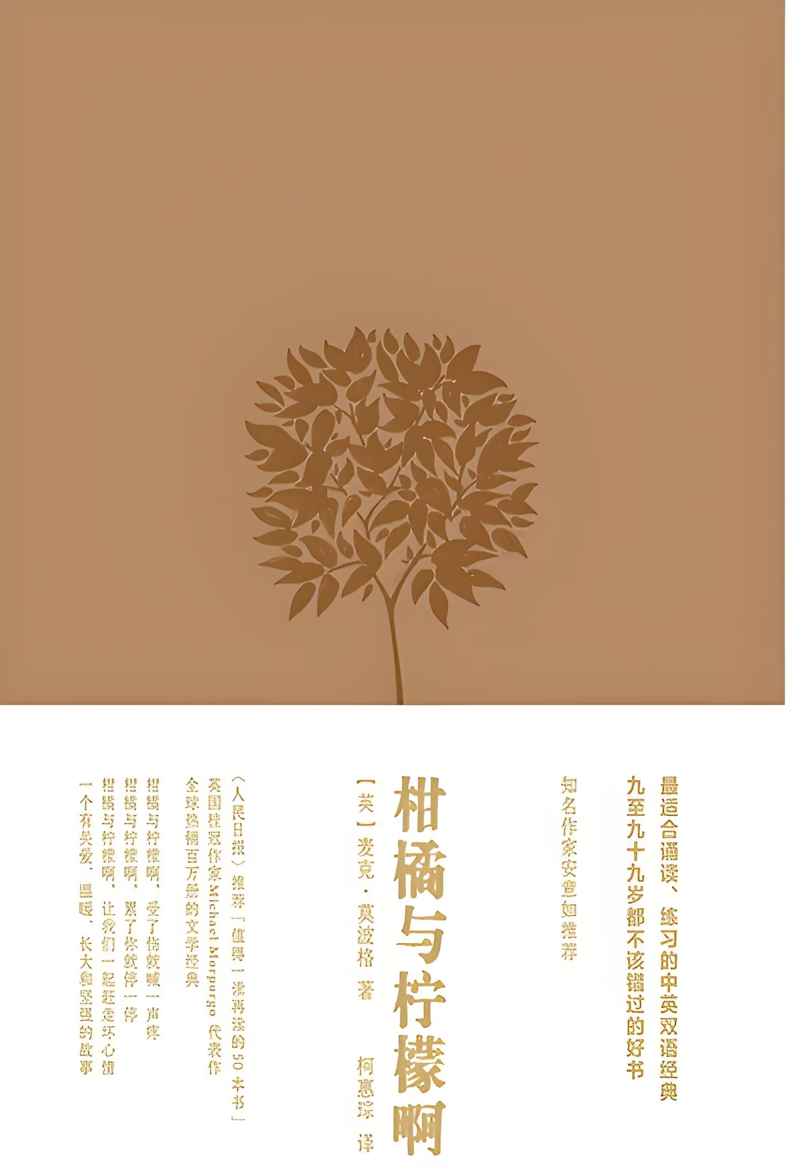 《柑橘与柠檬啊》封面
